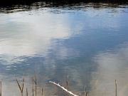 �|�\�\����