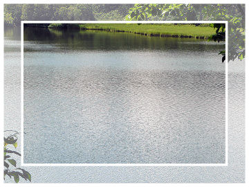 �����������������