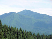 �܃m�{�ԂƃI�V�L